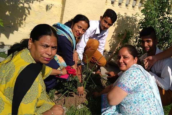 MVM School Dharamshala Teacher's & Students Planting plants on Environment Day.